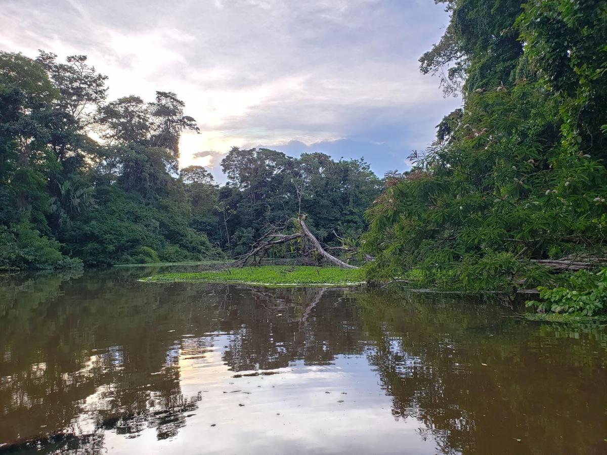 Hotel Casa Thirema Tortuguero Exteriér fotografie
