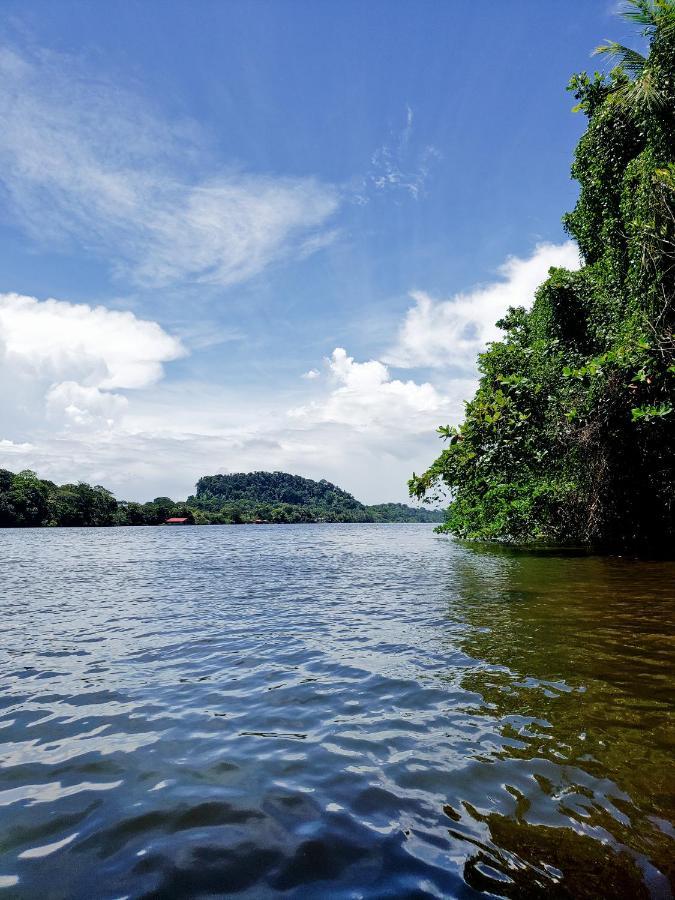Hotel Casa Thirema Tortuguero Exteriér fotografie