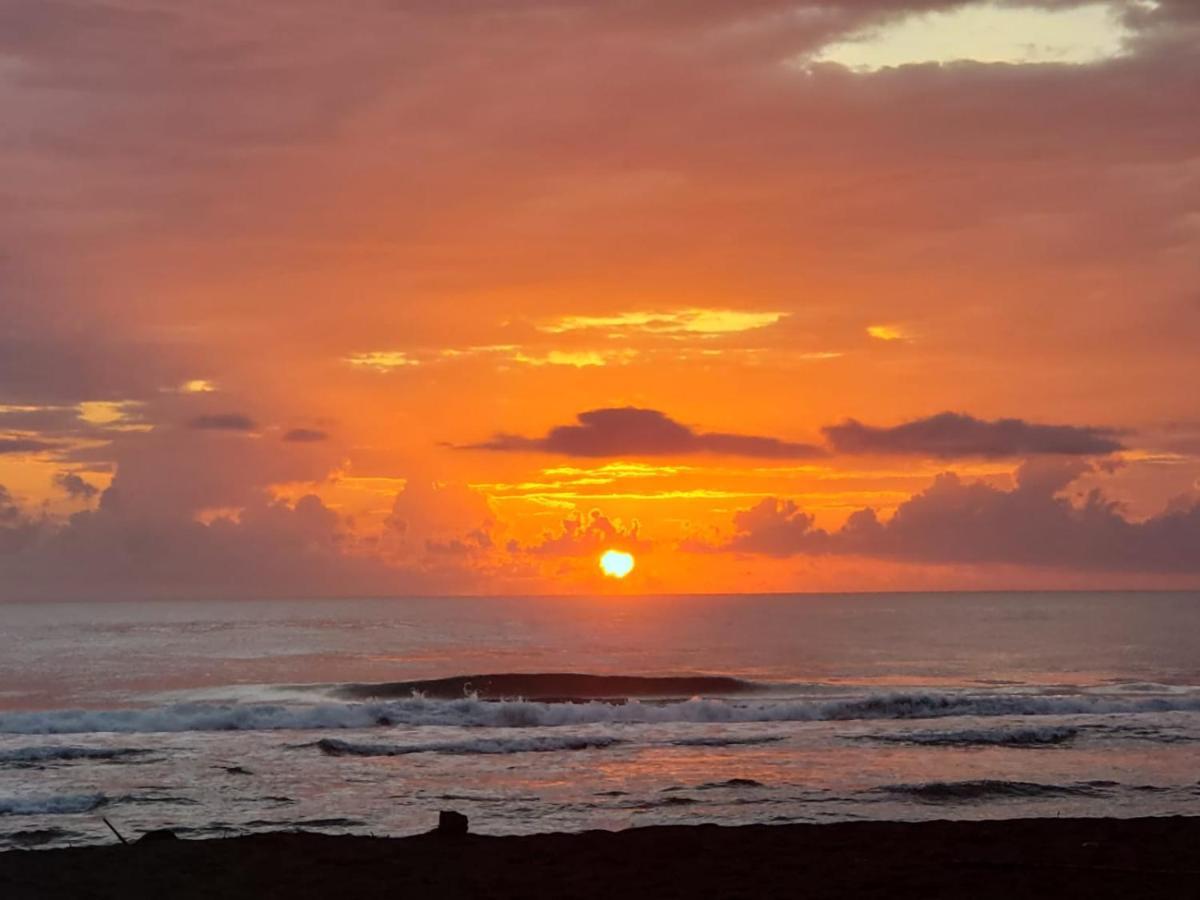 Hotel Casa Thirema Tortuguero Exteriér fotografie